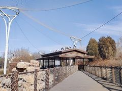 -太原动物园