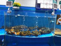水产区-七鲜超市(通州ONE店)