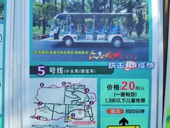 -东平国家森林公园