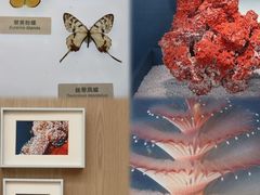 -中国湿地博物馆