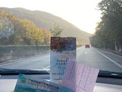 -广州市流溪河国家森林公园