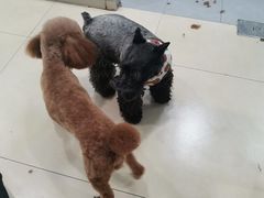 -宠福鑫康馨动物医院·骨科·眼科