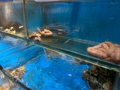-潮庭·大连海鲜·炭火烧烤·扇贝王(大连店)