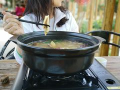 -马帮菜馆·美味野生菌