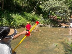 -广州白江湖森林公园