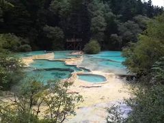 -黄龙山原始森林景区