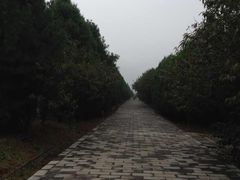 -秦始皇帝陵博物院-丽山园