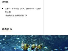 -新加坡水上探险乐园