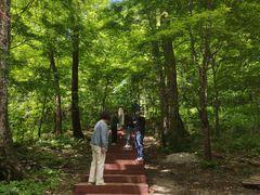 -吊水壶国家森林公园