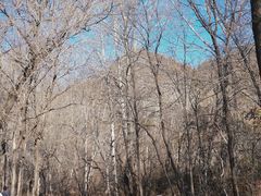 -玉渡山自然风景区