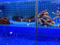 -启东小海鲜(庄先湾路1号店)
