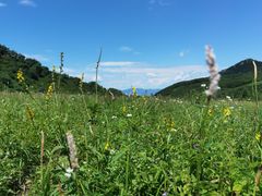 -白草畔自然风景区