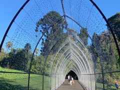 -墨尔本皇家植物园