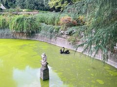 -上海虹桥迎宾馆