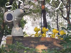 -史努比缤纷世界