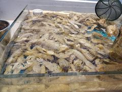 -集品鲜湾·蒸汽海鲜自助料理(青岛银座和谐广场店)