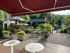 -Cafe In Little Forest