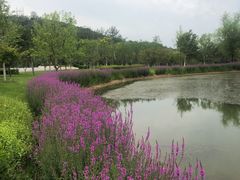 -北京宽沟会议中心