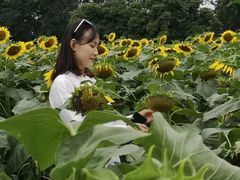 -松山湖梦幻百花洲