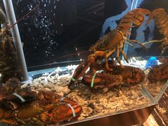 -璞御·海鲜·雪花牛肉局(宾水西道店)
