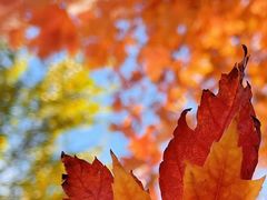 -天津东丽湖风景区