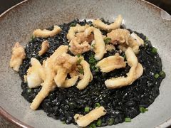 -Apollo·西班牙小酒馆(安福路店)