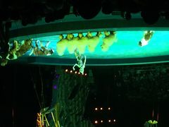 iphone_upload_pic-珠海横琴长隆《卡卡虎奇遇记》