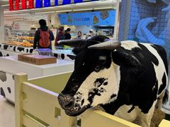 -红星前进面包牛奶公司(君太店)