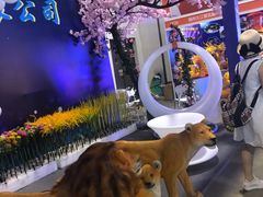 -上海跨国采购会展中心