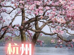 -杭州植物园