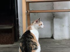 -黑胶星球(华发中城商都店)