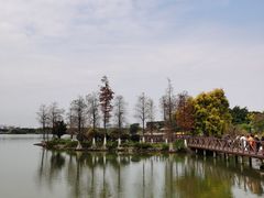 -海珠湖公园