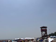 -日照海滨国家森林公园