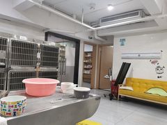 -瑞派名望24h动物医院异宠专科·猫专科·骨科·重症监护分院