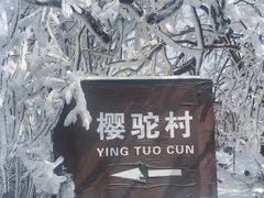 -紫金山山顶公园