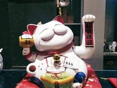 -猫咪博物馆(顶澳仔猫街店)