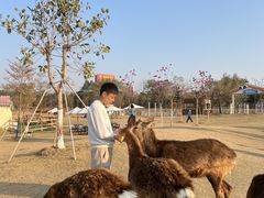 -盈香心动乐园