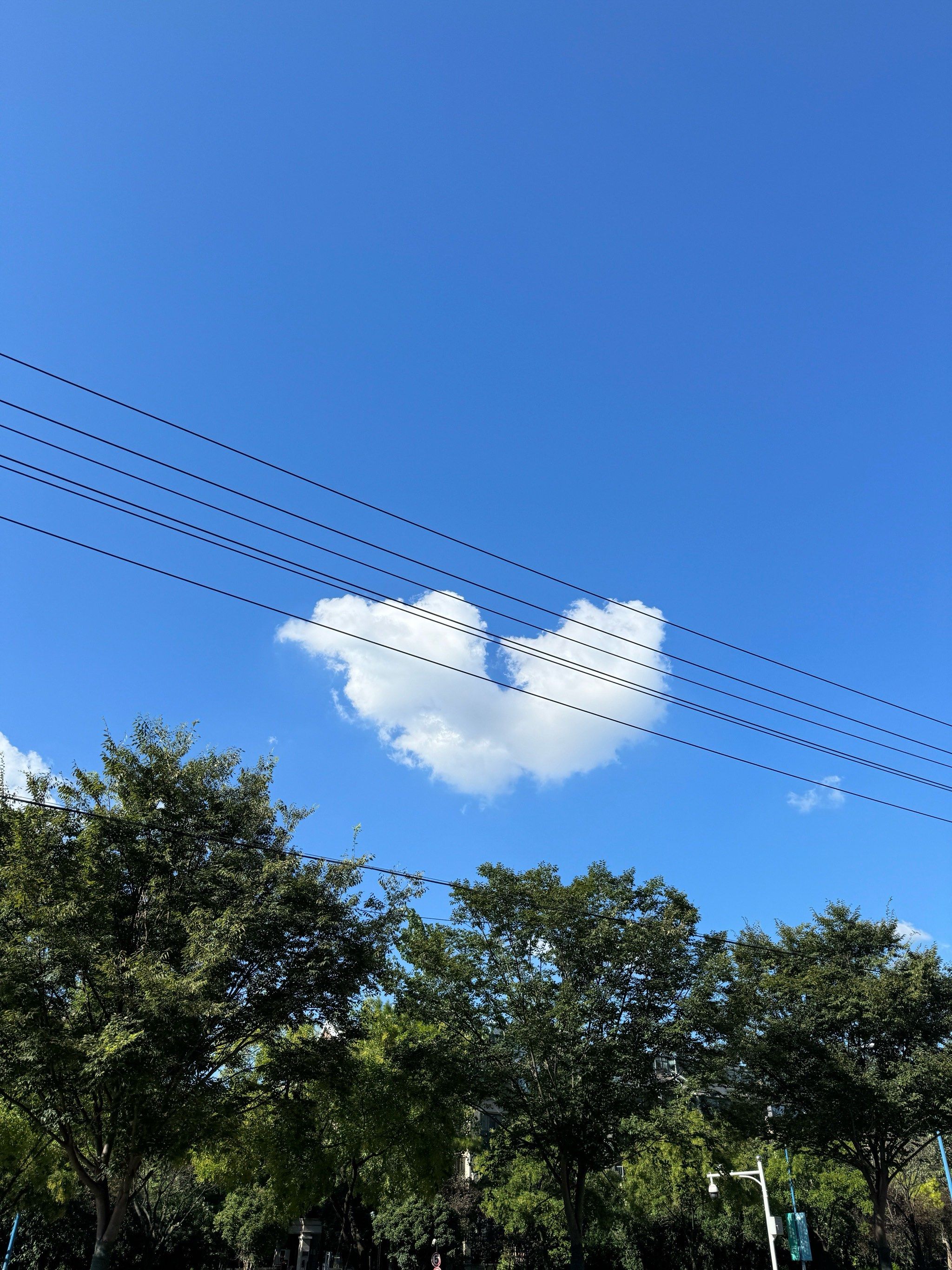 拿着云朵散步去