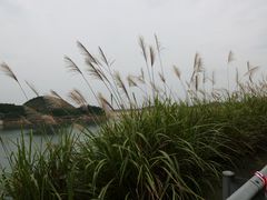 -长沙黑麋峰国家森林公园