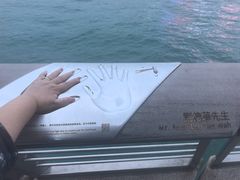 -星光大道
