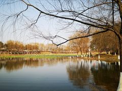 -洋湖国家湿地公园