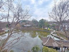 -朴墅(西湖青芝坞店·杭帮菜·家宴.14年的店)