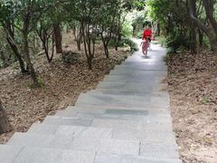 -杭州半山国家森林公园