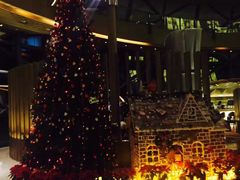 -上海滴水湖皇冠假日酒店