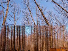 -黄海国家森林公园