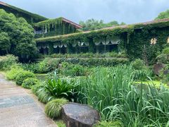 -中国茶叶博物馆(双峰馆区)