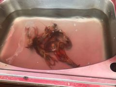 -庾氏龙虾馆(多弗汇店)