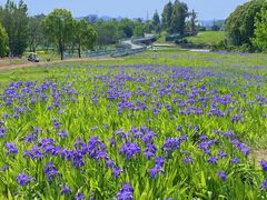 -白鹭湾湿地公园