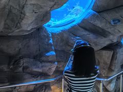 -香港海洋公园