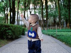 -重庆市江北嘴中央商务区中央公园